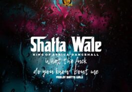 MP3: Shatta Wale – What Do You Know About Me